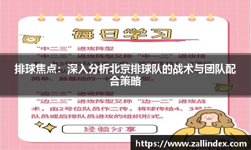 排球焦点：深入分析北京排球队的战术与团队配合策略