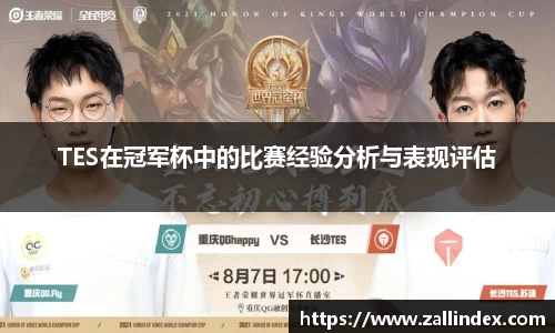 TES在冠军杯中的比赛经验分析与表现评估