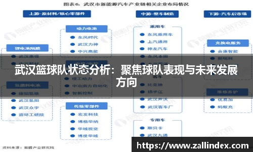 武汉篮球队状态分析：聚焦球队表现与未来发展方向